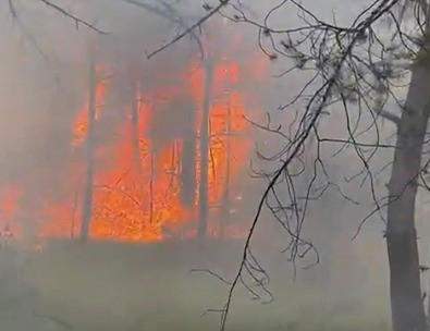 amasya’da korkutan orman yangını
