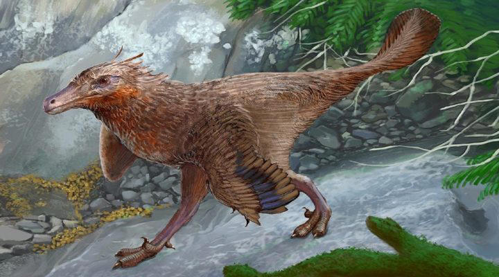 descubren nueva especie de dinosaurio carnívoro en argentina