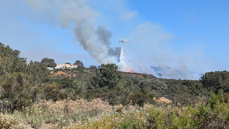 Brush Fire in San Diego Reignites, Prompting Evacuations and Road Closures