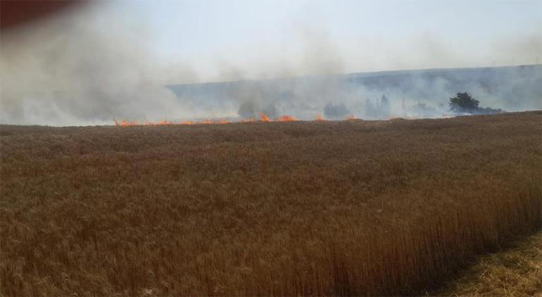 silivri'de tarım arazisinde yangın kontrol altına alındı