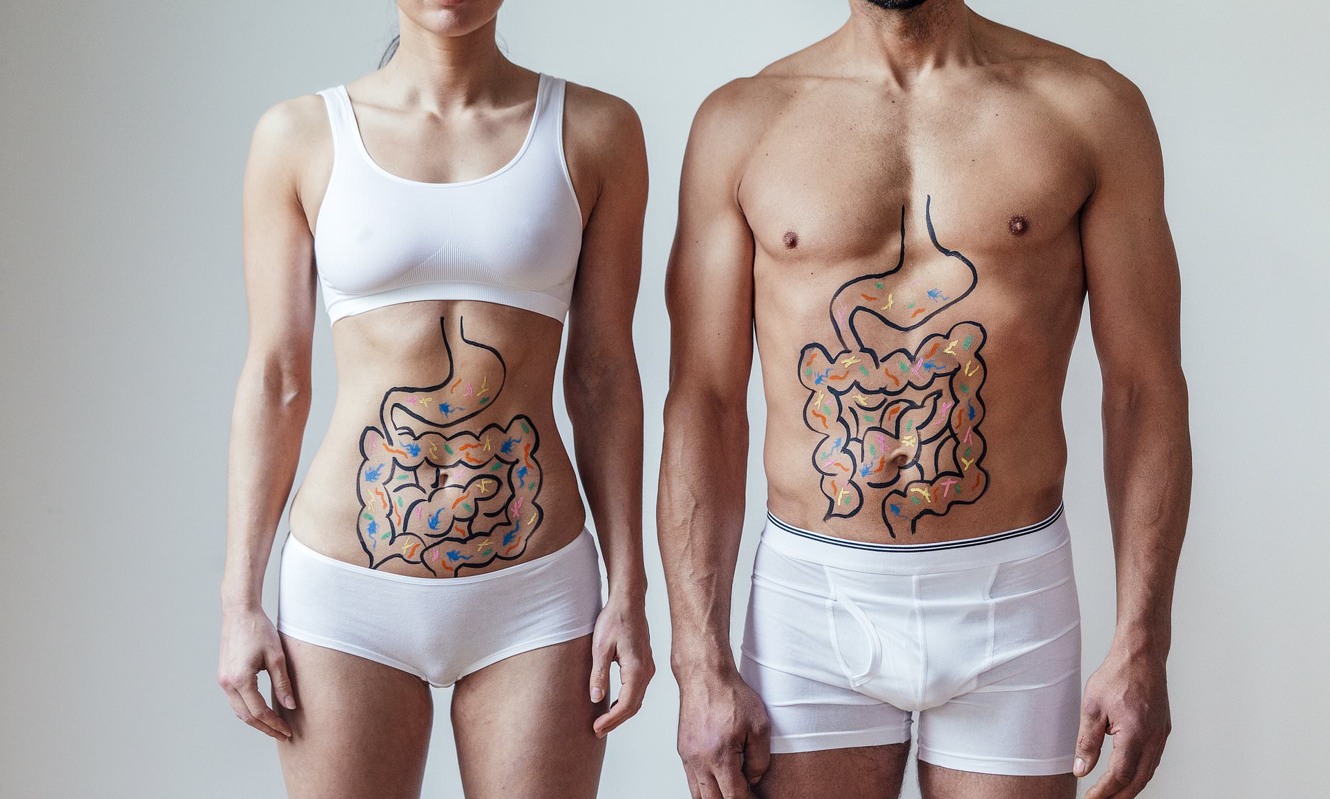 How Gut Bacteria Affect Your Stress Response: International Insights How Gut Bacteria Affect Your Stress Response: International Insights