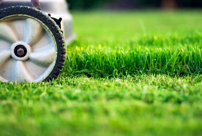 how to, what’s the best height to cut grass? here’s how to set your mower correctly