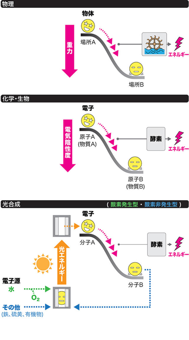 酸素を発生する光合成と酸素を発生させない光合成（図版提供：JAMSTEC） 拡大画像表示