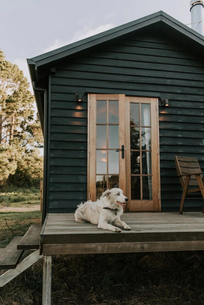 10 of the best dog-friendly stays in qld