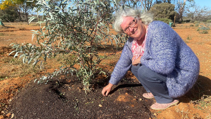 barmera home owner says transition to native garden benefits wellbeing, environment