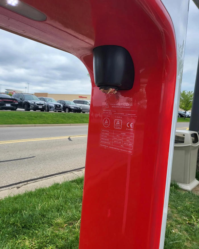 tesla owner discovers frustrating scene at supermarket charging station: 'it happened the day before as well'