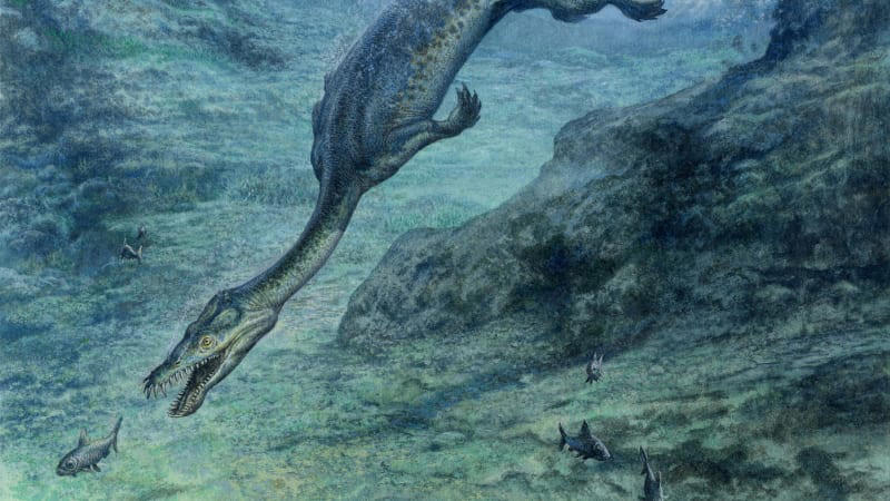 úžasný nález: monstrum z ledových moří je starší než dinosauři