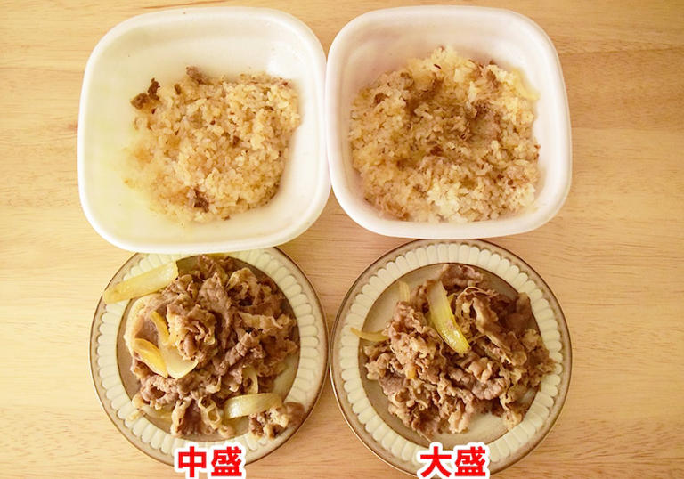 すき家 中盛りの丼ぶり