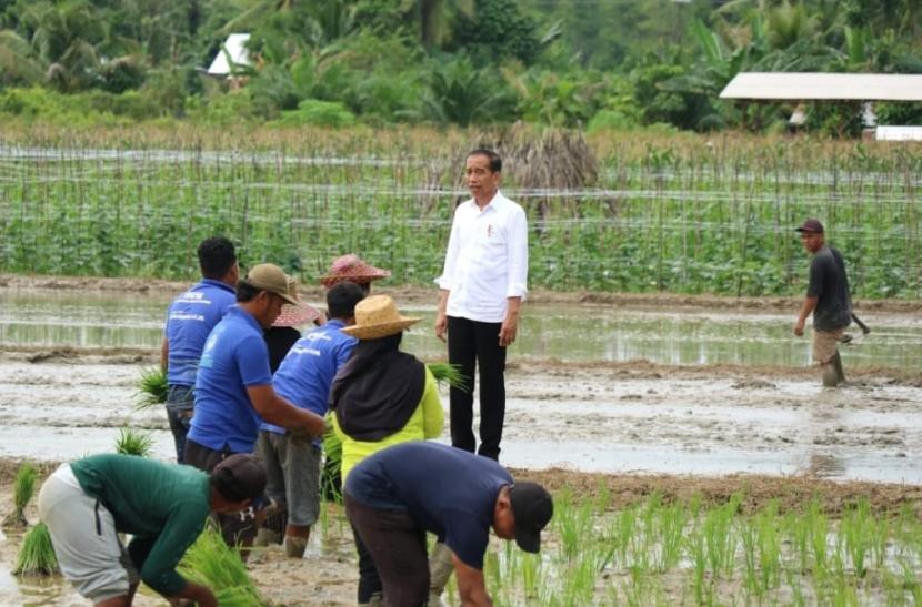 Jokowi Persilakan KPK Usut Korupsi Bansos Covid-19 Dengan Nilai ...