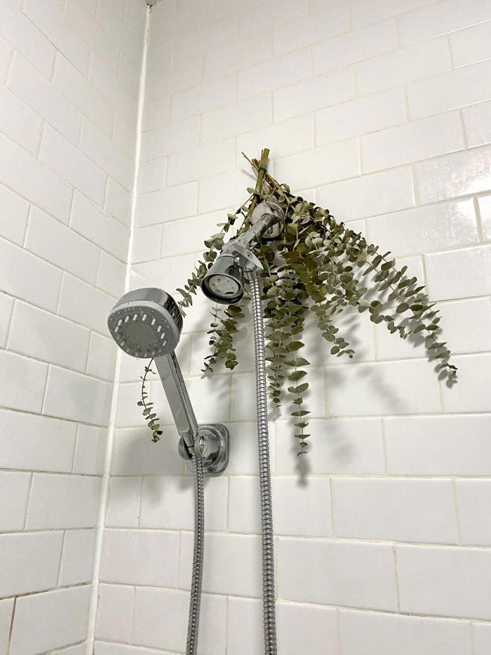 i'm a shopping editor, and this showerhead is my secret to good hair