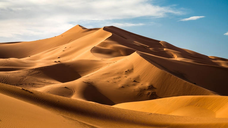 Já sabíamos que Saara nem sempre foi um deserto, mas agora temos uma pista de quando isso aconteceu: há 4 mil anos