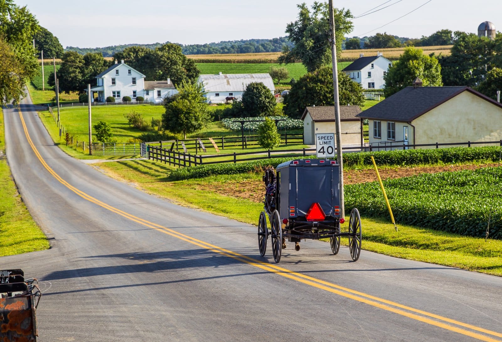 Image Credit: Shutterstock / hutch photography <p><span>Life in Amish communities moves at a horse-drawn buggy’s pace. It’s charming but starkly different from the hustle just a few miles away.</span></p>