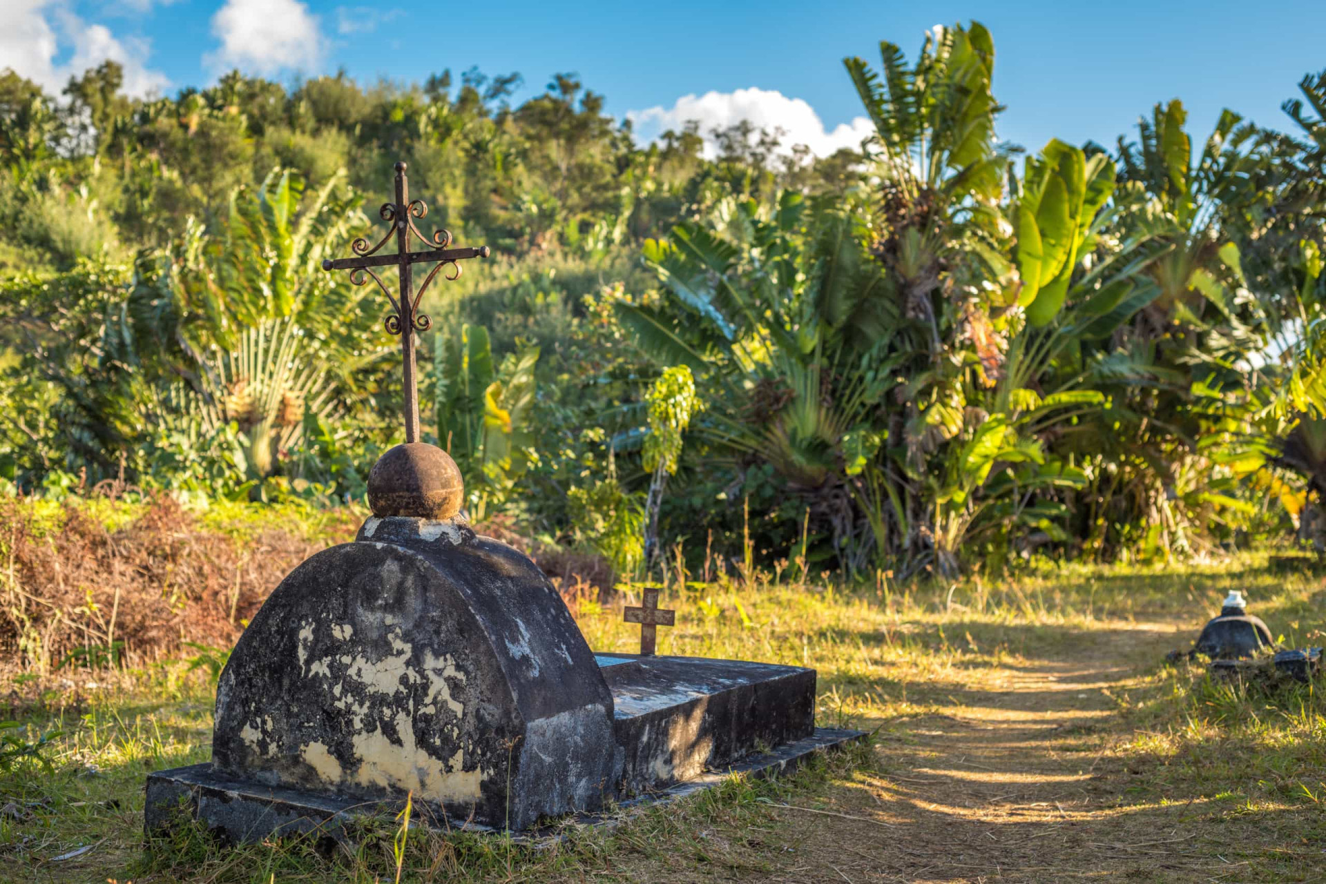 <p>The island was once a haven for pirates in the 17th and 18th centuries. Pictured is a pirates' cemetery.</p><p><a href="https://www.msn.com/en-us/community/channel/vid-7xx8mnucu55yw63we9va2gwr7uihbxwc68fxqp25x6tg4ftibpra?cvid=94631541bc0f4f89bfd59158d696ad7e">Follow us and access great exclusive content every day</a></p>