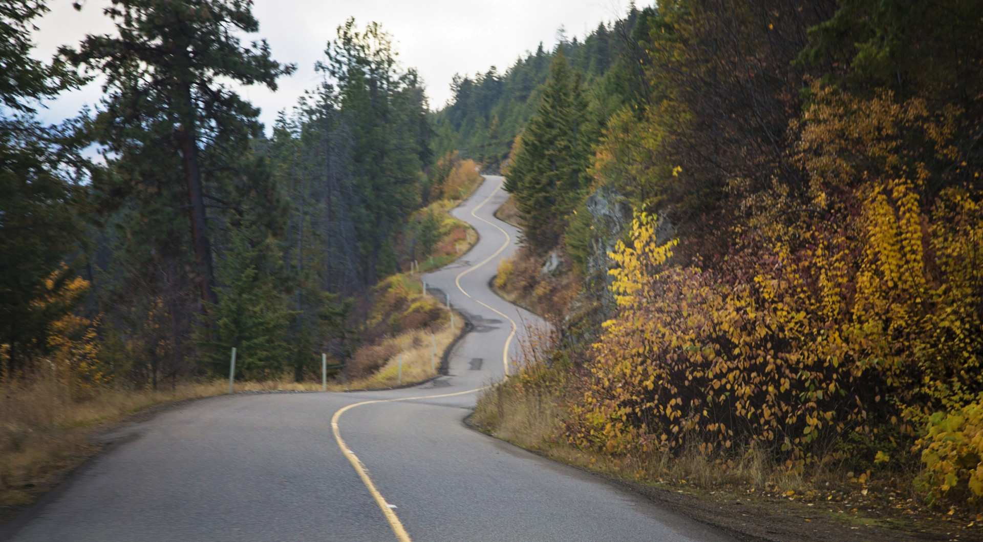 If you can, take Highway 3, a meandering road that cuts through dense forest and is far more scenic. <p><a href="https://www.msn.com/en-us/community/channel/vid-7xx8mnucu55yw63we9va2gwr7uihbxwc68fxqp25x6tg4ftibpra?cvid=94631541bc0f4f89bfd59158d696ad7e">Follow us and access great exclusive content every day</a></p>