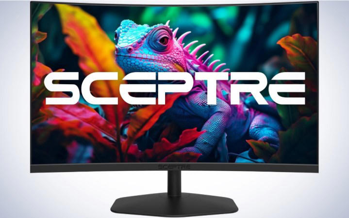 the best curved monitors in 2024