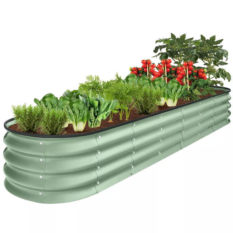 9 colorful plants you can grow quickly for summer flowering