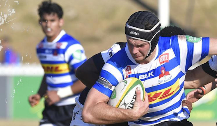 wp beat free state in thriller to retain craven week crown