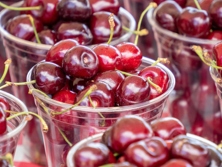 Cherries are shown in a photo provided by the National Cherry Festival.