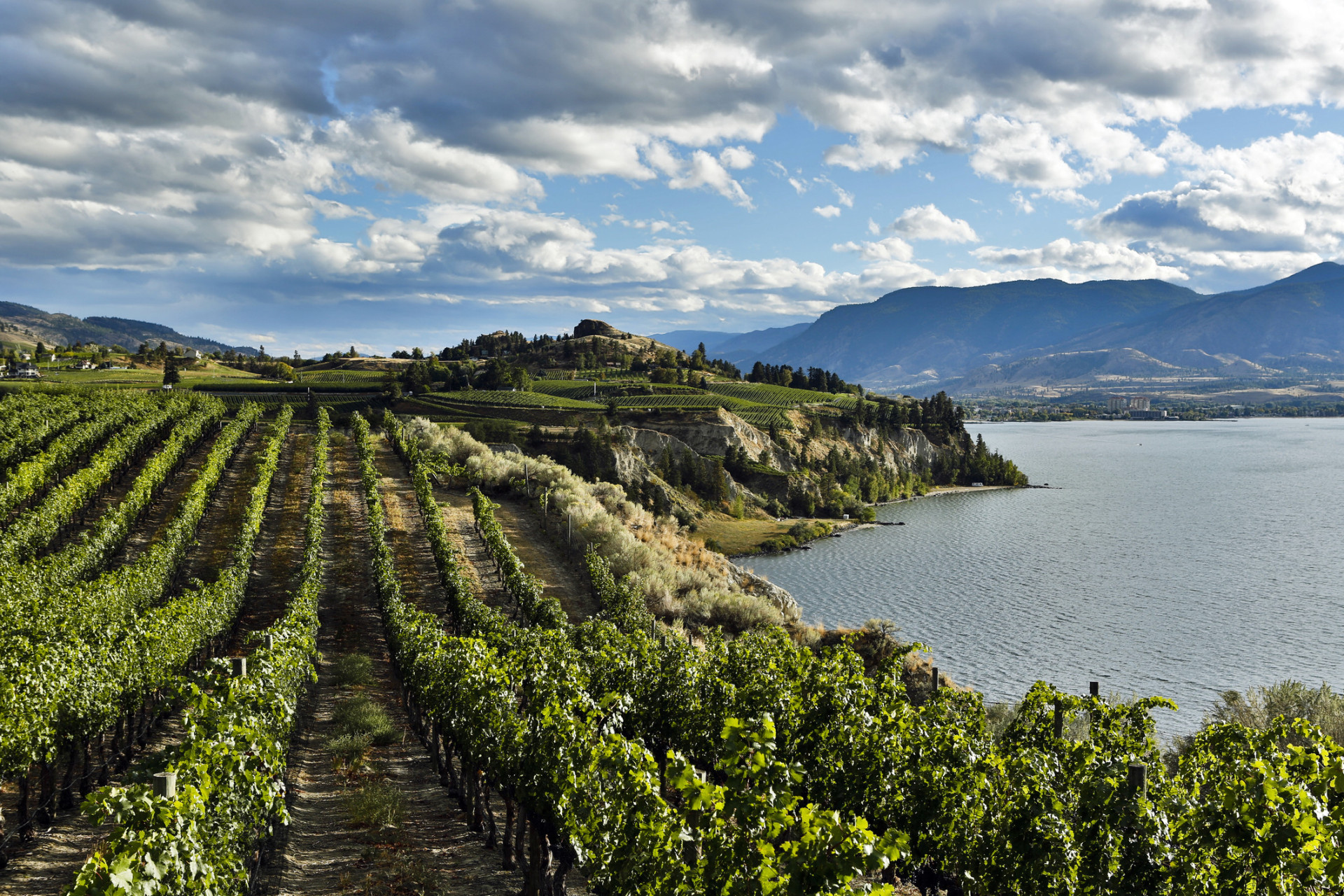 Located in the heart of Okanagan Wine Region, Kelowna is surrounded by parks, forests, mountains, orchards, and, of course, vineyards. <p>You may also like:<a href="https://www.starsinsider.com/n/457560?utm_source=msn.com&utm_medium=display&utm_campaign=referral_description&utm_content=384585v6en-us"> The worst royal fashion faux pas moments</a></p>