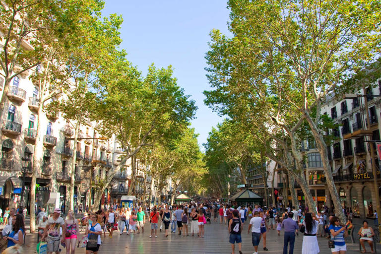 Heading to Barcelona with kids? These are some of the best tours you can take with all ages!