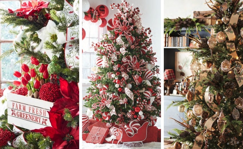 Christmas Tree Themes: Just Updated!