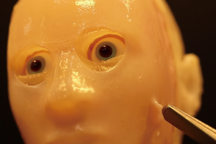 robot face with living skin can smile ‘like a human’