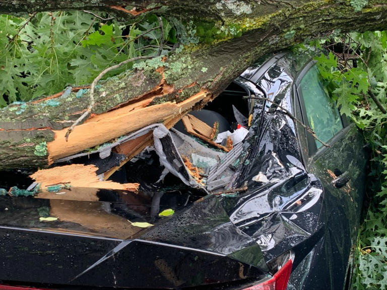 PHOTOS: Storm damage across Connecticut