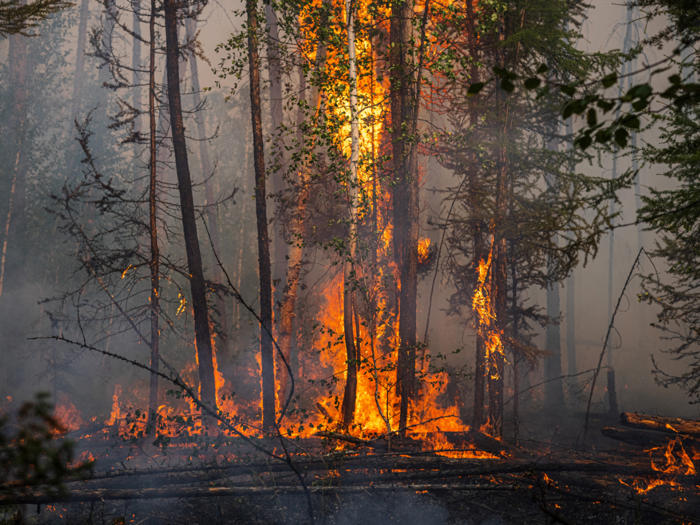 ausgedehnte wald- und flächenbrände im nordosten russlands
