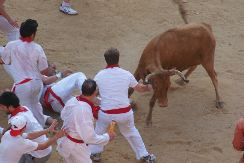 <p><strong>Location:</strong> Spain</p>  <p>In the city of Pamplona, Spain, the festival of San Fermín goes on for an entire week. Though there are many traditional events to take part in, the main attraction is undoubtedly the treacherous <strong>running of the bulls</strong><strong>.</strong></p>