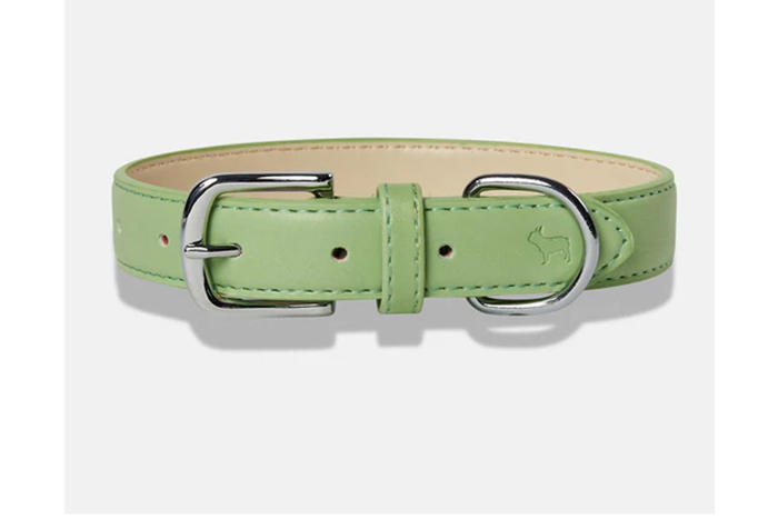 amazon, best dog collars and harnesses that are stylish and comfortable for your pooch