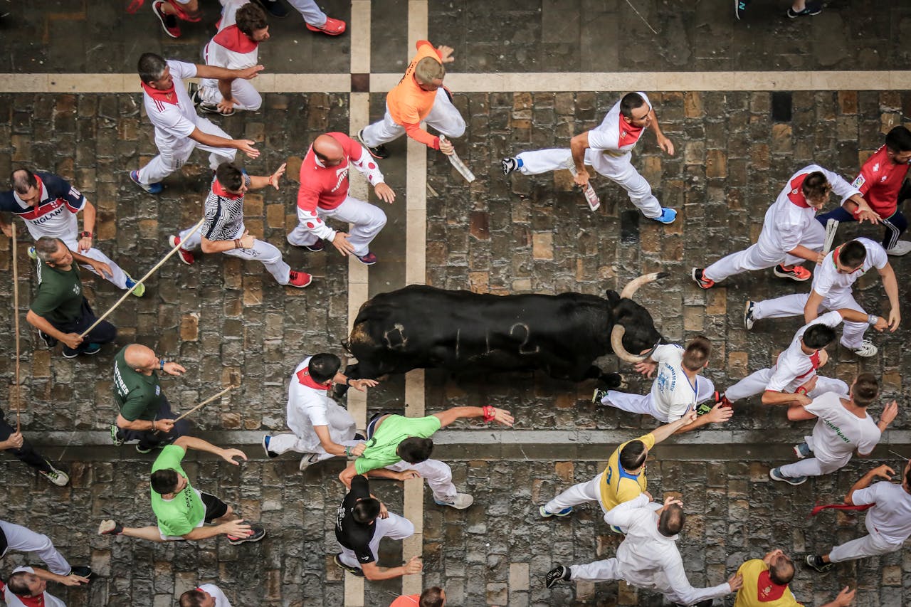 <p>The running of the bulls is so popular that <strong>it even gets broadcast</strong>, but perhaps this adoration is rooted in the adrenaline rush that comes from seeing people put themselves in such obvious danger.</p>