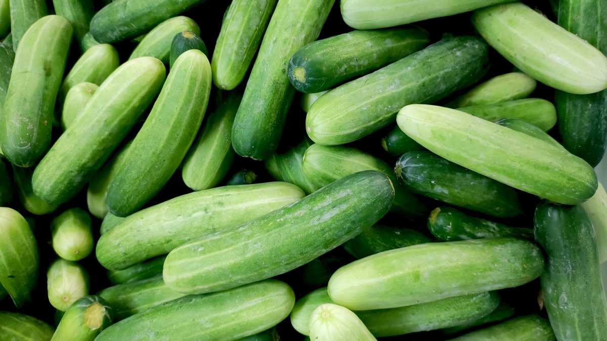 Cucumber Recall Updated, FDA Reveals Almost 70 Hospitalizations