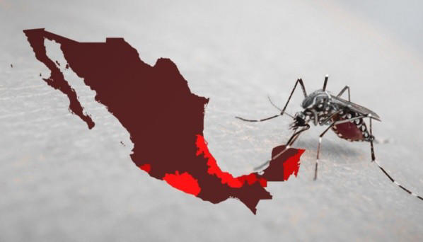 ¿nueva epidemia en méxico? hospital colapsa por casos de dengue en edomex