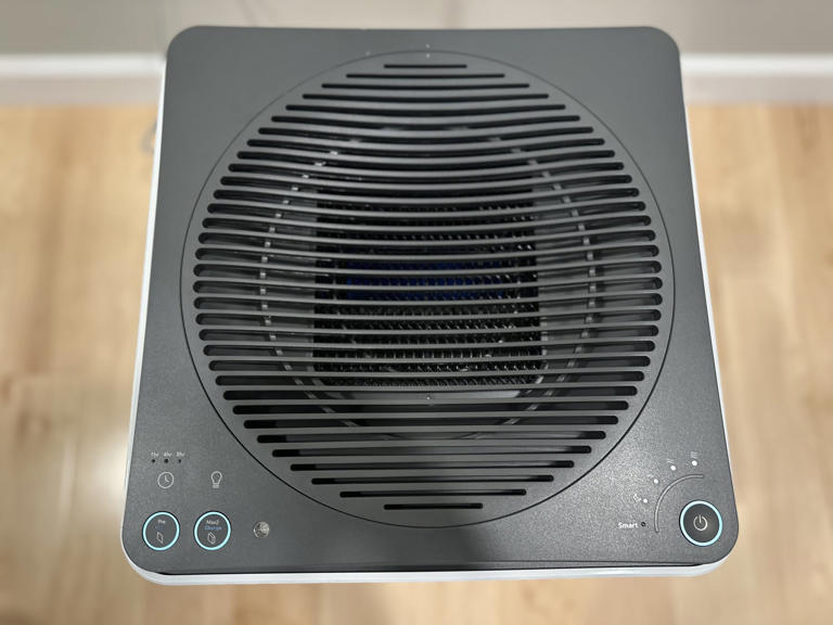 I'm Allergic to Pollen, and This Air Purifier Helps Me Breathe Easy