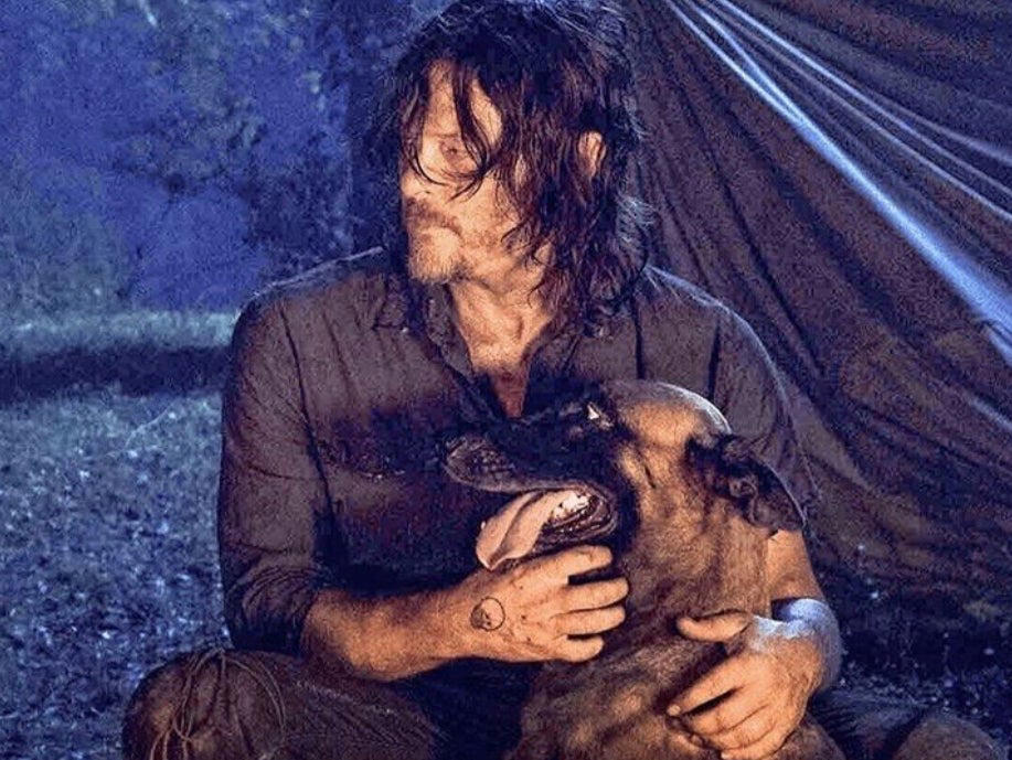 the walking dead star pays tribute to ‘best tv buddy ever’ after dog star dies