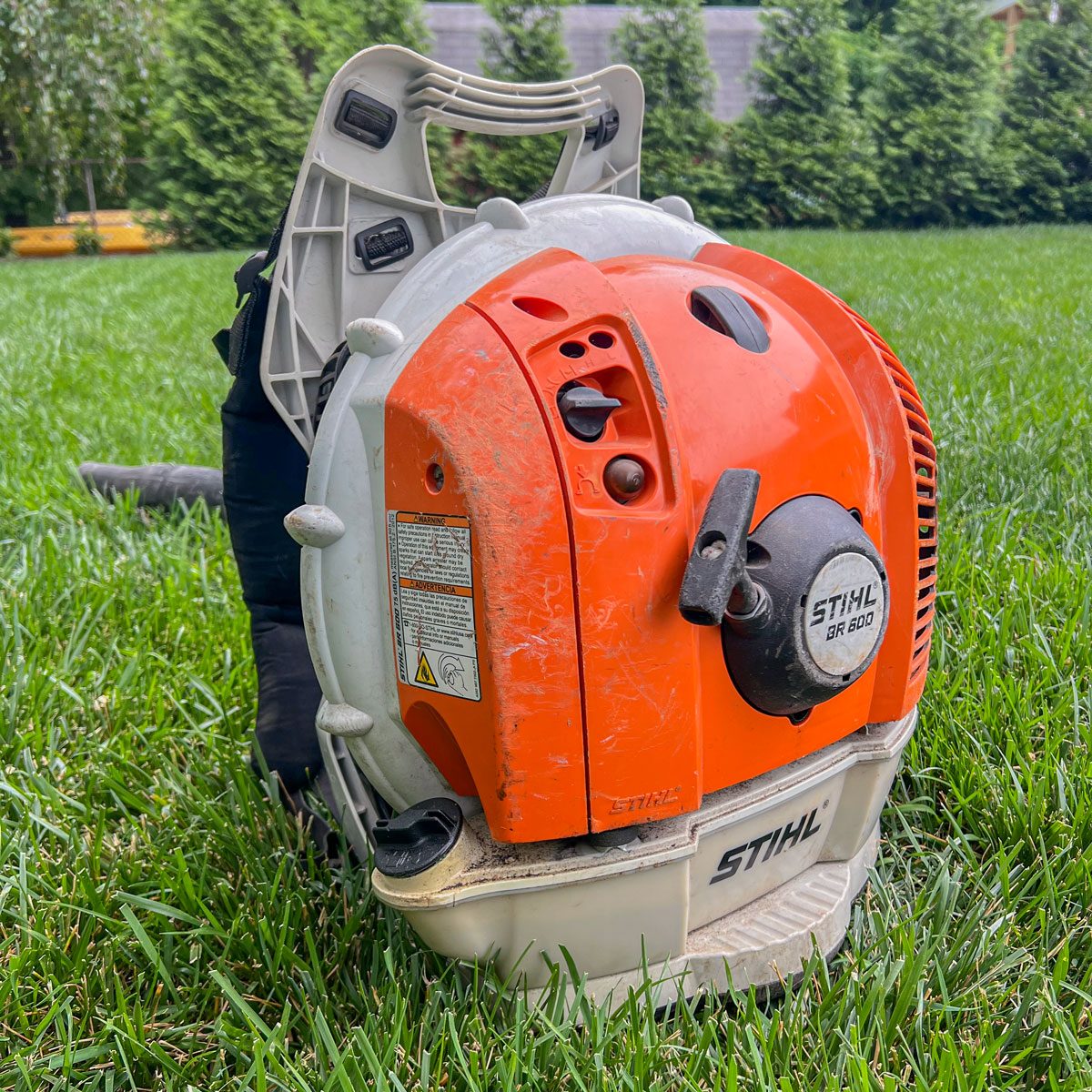 The 7 Best GasPowered Leaf Blowers, According to Experts