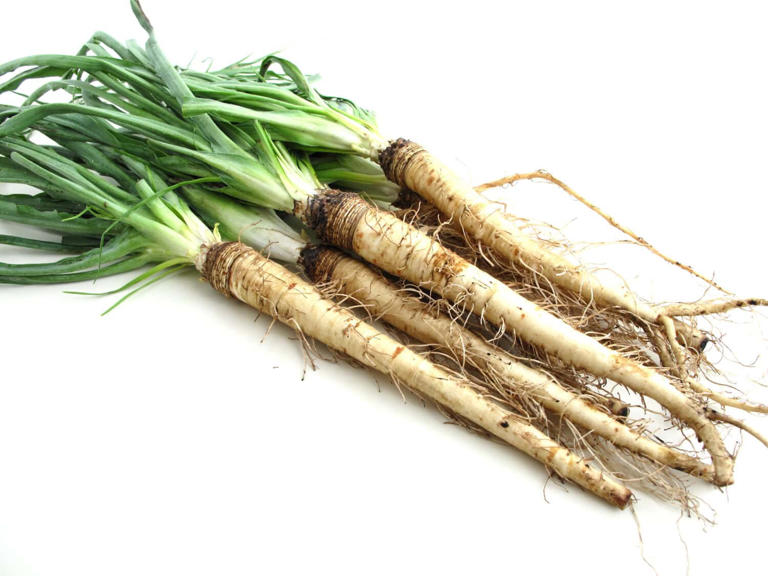 What is Salsify? How to Cook It, Taste, Recipes & Health Benefits