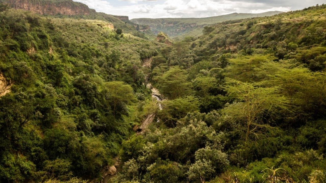 <p>If you’ve ever wanted to walk among wildlife without the confines of a vehicle, Hell’s Gate National Park is your playground. Located near Lake Naivasha, this park allows for biking and hiking amidst herds of zebras, giraffes, and buffaloes. </p> <p>The dramatic landscapes, including towering cliffs, geothermal hot springs, and the Olkaria Geothermal Station, inspired scenes in Disney’s “The Lion King.” For an added thrill, try rock climbing at Fischer’s Tower or the Central Tower.</p>
