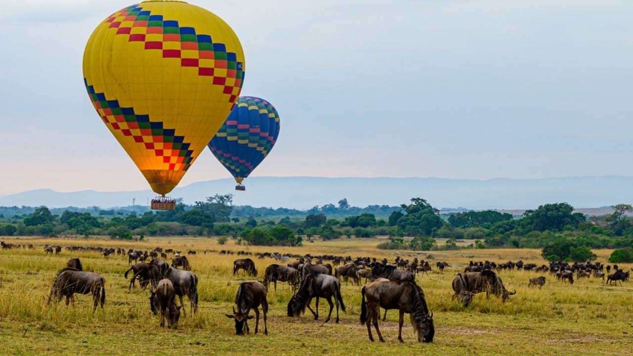 <p>The Maasai Mara National Reserve is synonymous with adventure. Every year, from July to October, the plains come alive with the Great Migration. Over two million wildebeest, zebras, and gazelles embark on a treacherous journey from the Serengeti in Tanzania to the lush grasses of the Maasai Mara. (<a href="https://www.adventurenation.com/destination/maasai-mara-national-reserve">ref</a>)</p> <p>Watching this natural spectacle, especially the dramatic river crossings where predators lie in wait, is a heart-pounding experience. For the best view, consider a hot air balloon safari at dawn, floating silently above the herds.</p>