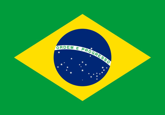 브라질 국기 속 글자는 무슨 말?