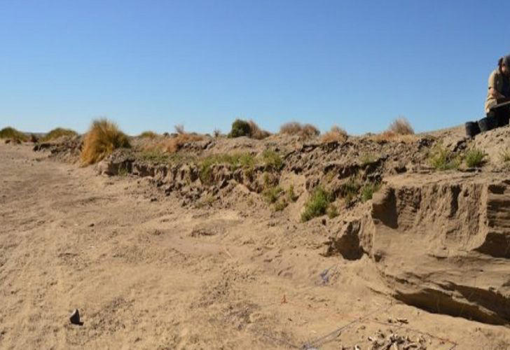 científicos argentinos encuentran restos fósiles del primer perro utilizado como animal de carga de sudámerica