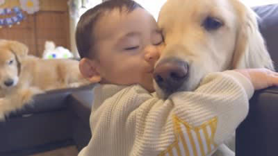 大型犬が赤ちゃんに『愛情表現』をした結果…まさかの『迷惑がられてしまう光景』が22万再生「笑ったｗ」「幸せが凝縮されてる」と絶賛