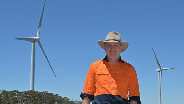 nsw wind farm zone downsized for whales, penguins