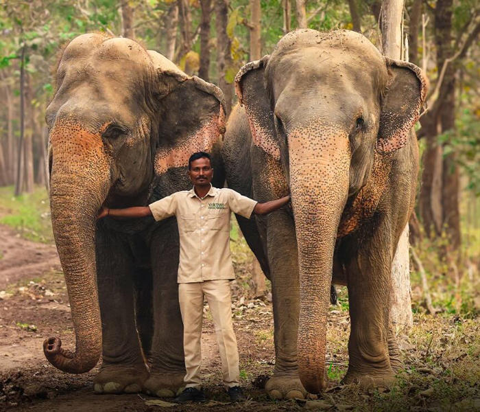 anant ambani's animal rehab centre: shelter for abused elephants - or private mega-zoo?