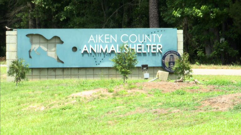 Group shares how it helped transform Aiken County pet shelter