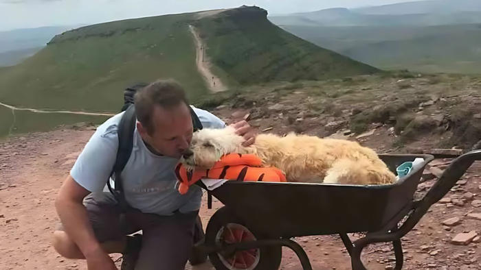 un homme emmène son chien malade pour une dernière aventure en brouette sur sa montagne préférée