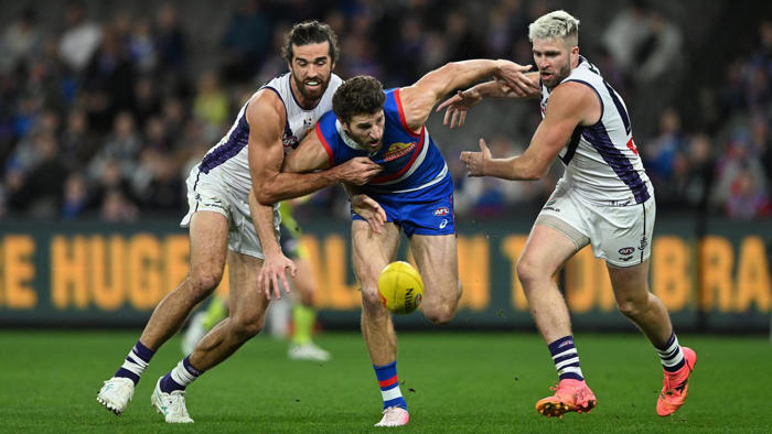 bontempelli leads by example as bulldogs maul dockers