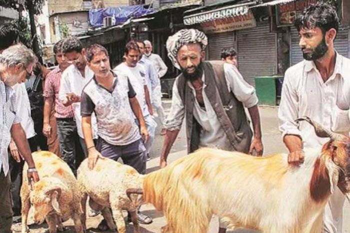 hc asks mira-bhayandar civic body to consider fresh plea on animal slaughter for bakri eid