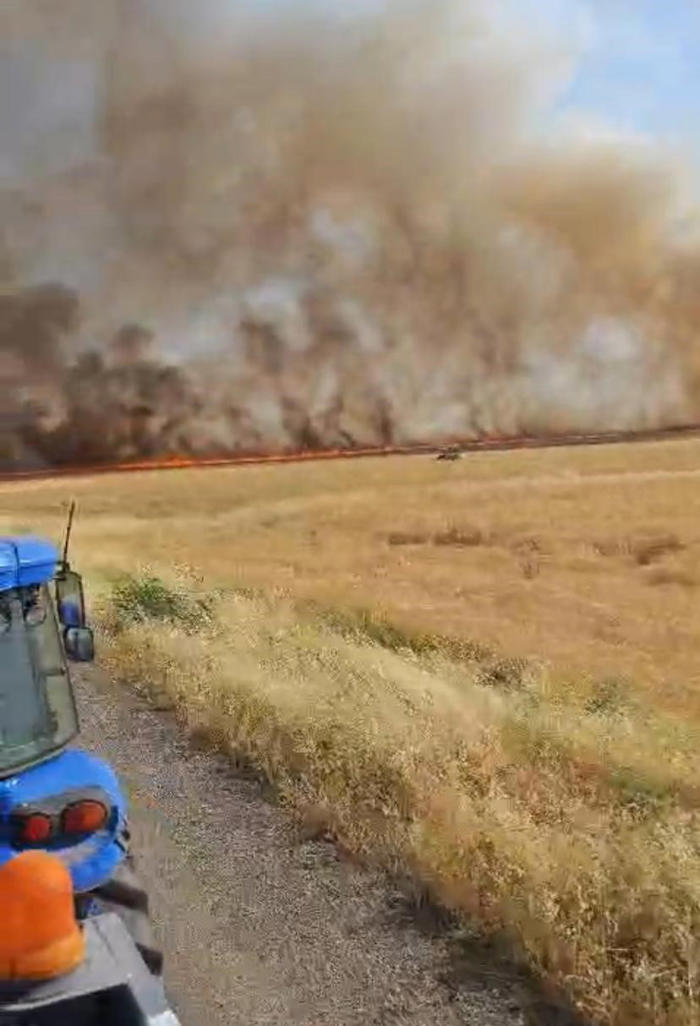 biçerdöverden çıkan yangın 500 dönüm buğdayı kül etti