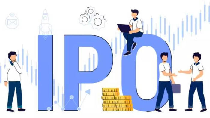 india's top five largest ipos: a look at notable public offerings as hyundai motor india plans mega ipo